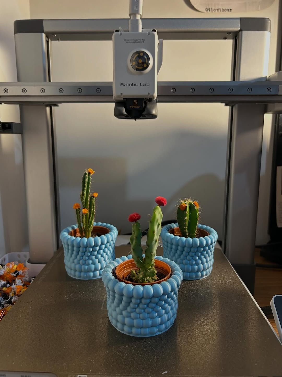 Vasos Personalizados